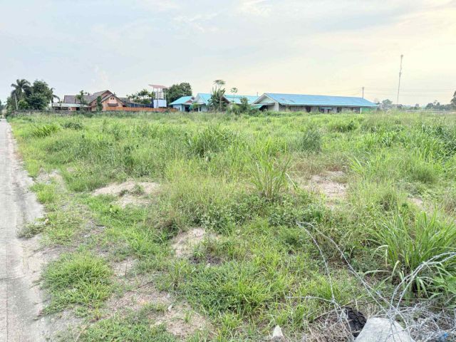 L1745 ขายที่ดิน 1 ไร่ นิคมพัฒนา ระยอง