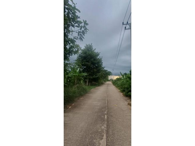 ขายที่วทำการเกษตร33ไร่หน้ากว้าง120เมตรติดถนนคอนกรีต ห่างถนนหลัก สมเด็จ-กาฬสินธุ์3กิโลเมตร ขายไร่ละ150,000.-บาทขายยกแปลง