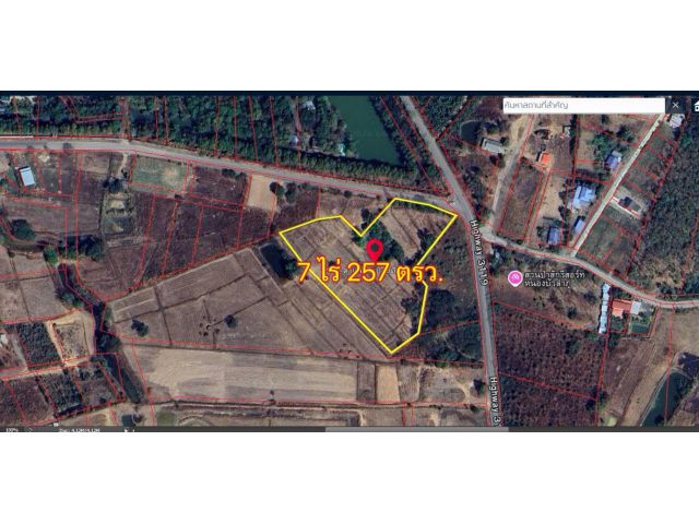 ขายที่ดินจังหวัดหนองบัวลำภู ใกล้ศูนย์ราชการจังหวัด