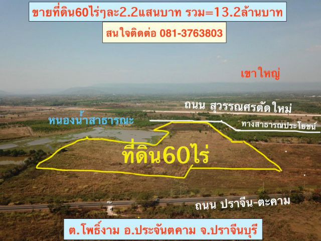 ขายที่ดิน60ไร่ๆละ 220,000บาท *ติดหนองนำ้สาธารณะขนาดใหญ่ ติดทางสาธารณะ บ้านไทรงาม ต.โพธิ์งาม อ.ประจันตคาม จ.ปราจีนบุรี