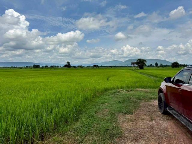 L1791 ขายที่นา 28 ไร่ เมืองพิษณุโลก