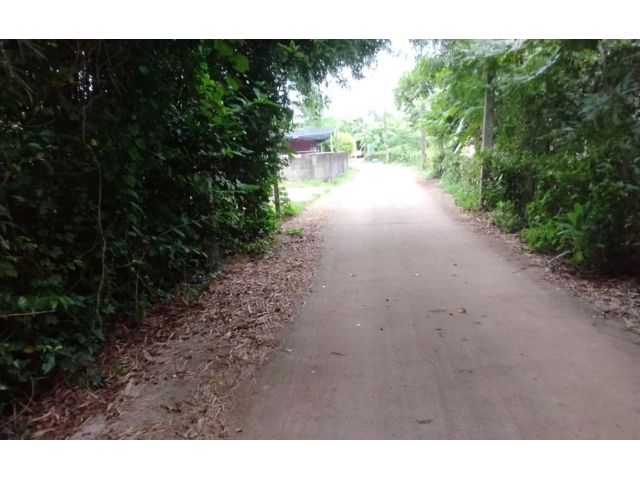 L1793 ขายที่ดิน 1 ไร่ ประจันตคาม ปราจีนบุรี