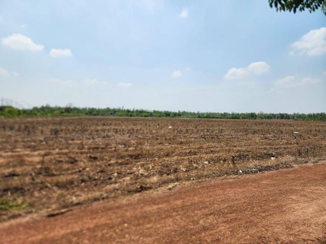 L1805 ขายที่ดิน 32 ไร่ ศรีมหาโพธิ ปราจีนบุรี