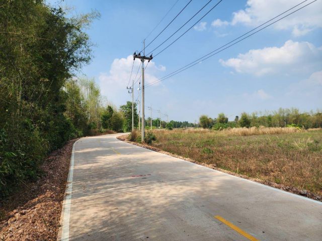 L1811 ขายที่ดินถมแล้ว 6 ล็อกๆละ 100 ตรว ศรีมหาโพธิ ปราจีนบุรี
