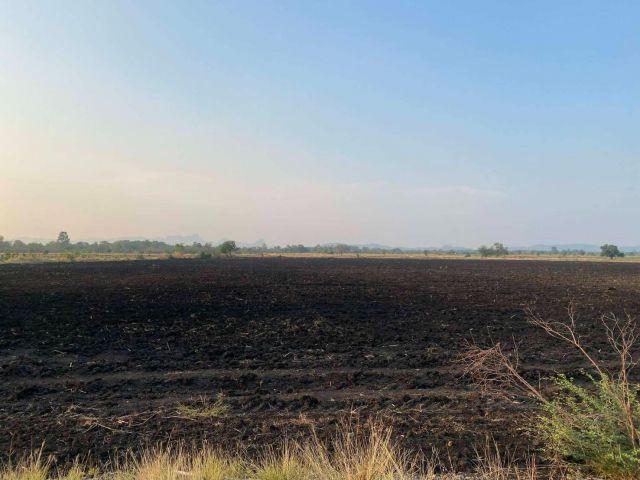 L1817 ขายที่ดิน 29 ไร่ แบ่งขาย พระพุทธบาท สระบุรี