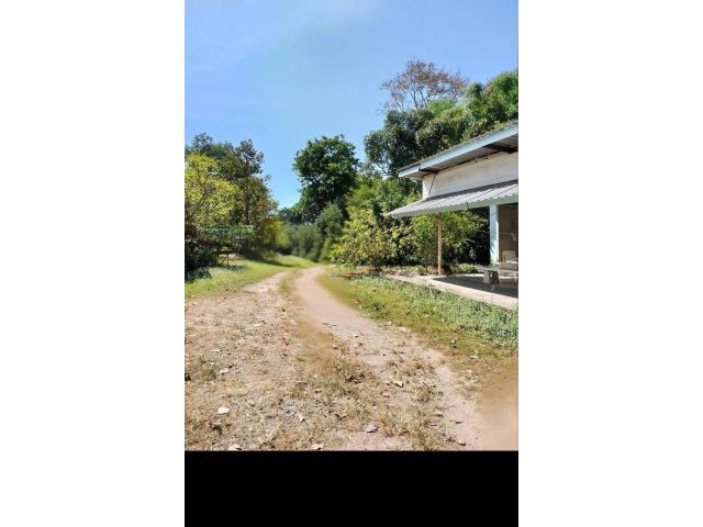 L1845 ขายบ้านสวนพร้อมที่ดิน 2 ไร่ บ้านนา นครนายก