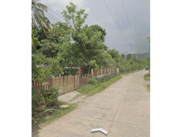 ขายที่ดินโฉนดแปลงสวย 119 ตรว. ต.ศรีฐาน อ.ภูกระดึง จ.เลย ใกล้อุทยานแห่งชาติภูกระดึง