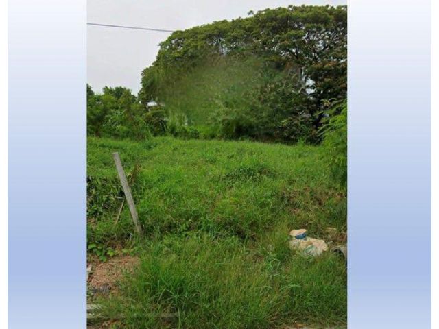 ให้เช่าที่ดินถมแล้ว 310 ตร.ว ถ.เพชรเกษม 64 วิวทะเลสาบ เหมาะสำหรับ ที่จอดรถ ร้านอาหาร โกดัง สนามกีฬา สตูดิโอ ใกล้ MRT บาง
