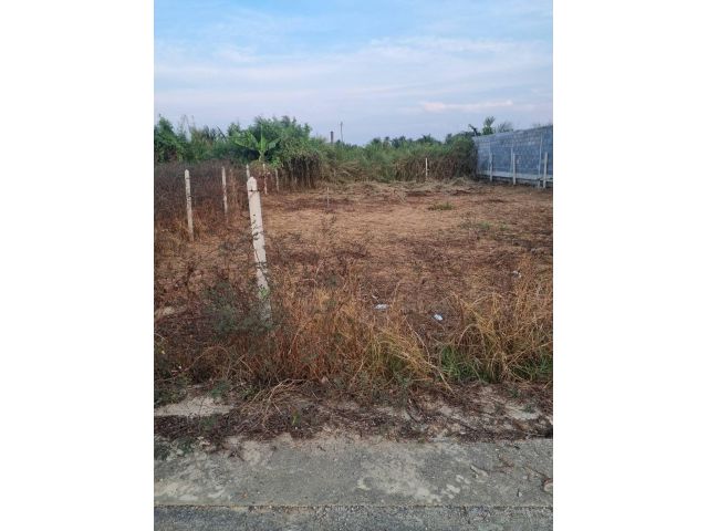 ที่ดิน75.5 ตรว.ใกล้โลตัส สามพราน