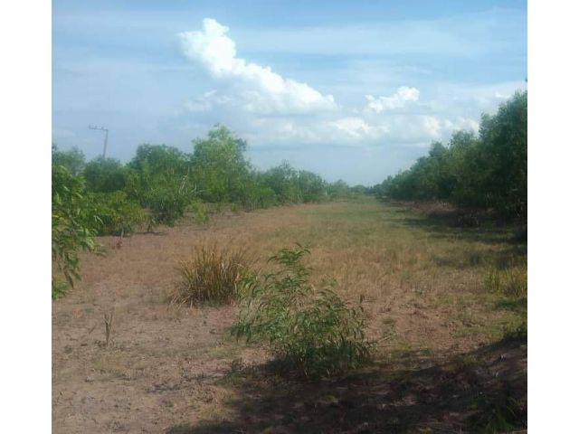 L017 ขายที่ดิน 112 ตรว ใกล้อบต.องครักษ์ นครนายก