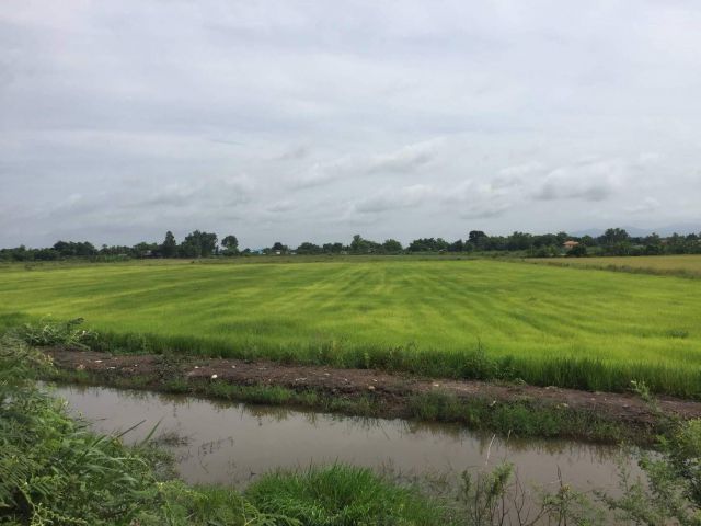L042 ขายที่นา 27 ไร่ บ้านนา นครนายก