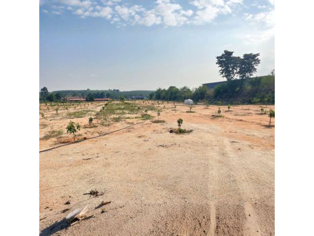 ขายที่ดิน ปลวกแดง