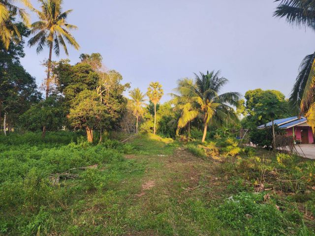 L103 ขายที่ดิน 4 ไร่ บางละมุง ชลบุรี