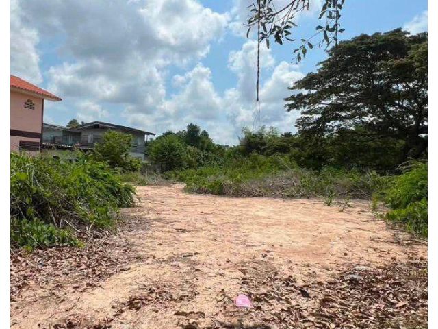 ขายที่ดินใจกลางเมืองระยอง ท่าประดู่ 120 ตรว. ซอยพินิจบำรุง ใกล้ถนนเส้นสุขุมวิท3-800เมตร อ.เมืองระยอง