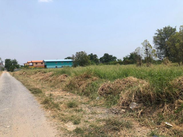 ขายที่ดินเปล่า 418 ตร.ว. ซอยคุ้มเกล้า 28 ที่สวย เหมาะทำการเกษตร หรือลงทุน