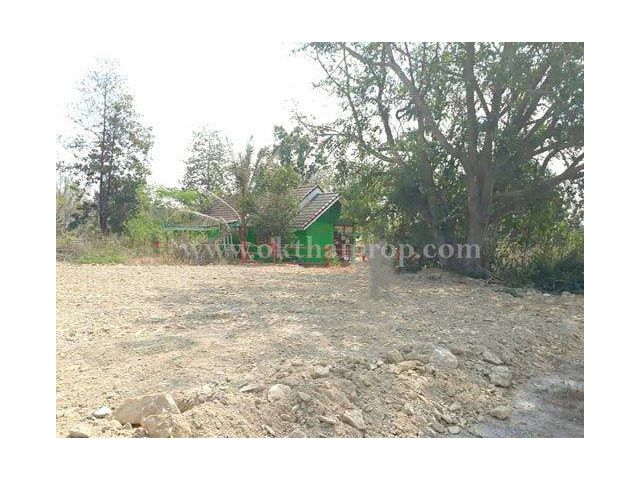 ที่ดินจัดสรรถมแล้ว พุหวายฮิลล์รีสอร์ท อ.ชะอำ จ.เพชรบุรี