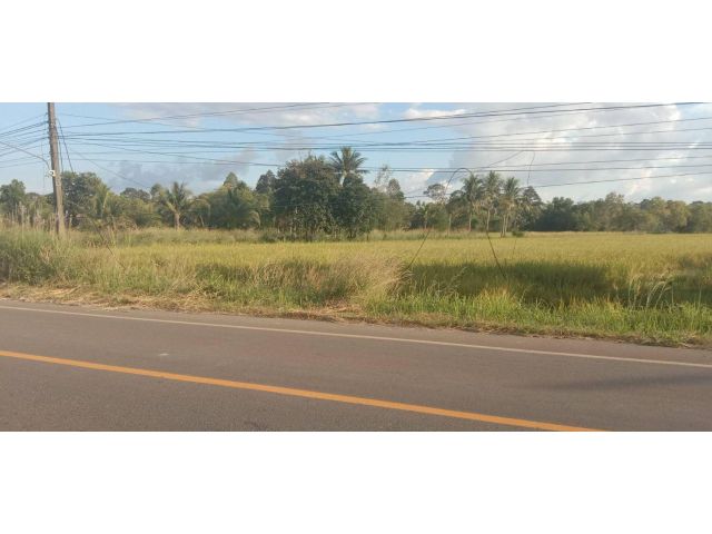 L174 ขายที่นา 7 ไร่ ประจันตคาม ปราจีนบุรี