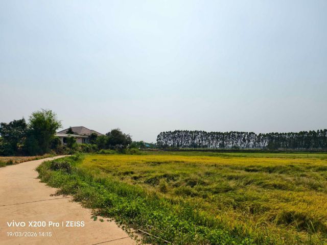 ขายที่ ต.สระสี่เหลี่ยม อ.พนัสนิคม จ.ชลบุรี