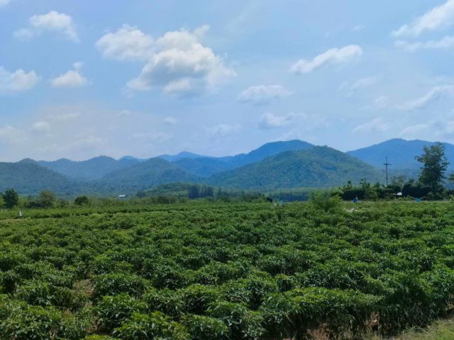 L226 ขายที่ดินสวยผ่อนได้ราคาถูก มองเห็นวิวภูเขาวิวแม่น้ำ บรรยากาศดีมาก ใกล้เขื่อนศรีนครินทร์ มีให้เลือกหลายแปลง