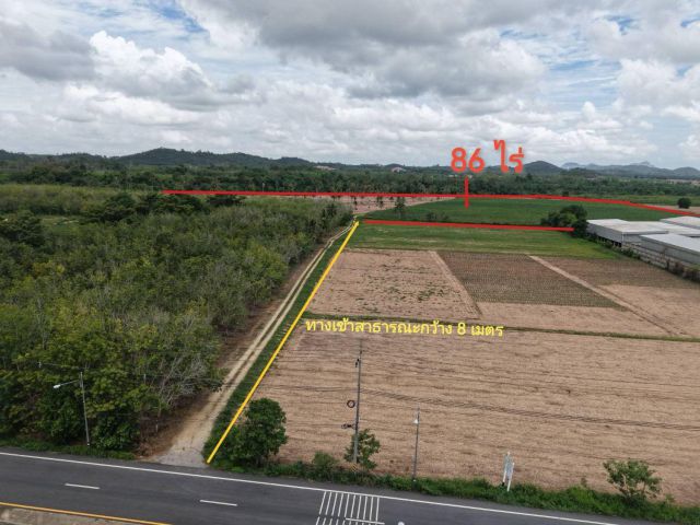 ขายที่ดินห้วยใหญ่ พัทยา 88 ไร่ ติดคลอง ใกล้ถนนห้วยใหญ่2081-200เมตร อ.บางละมุง ชลบุรี