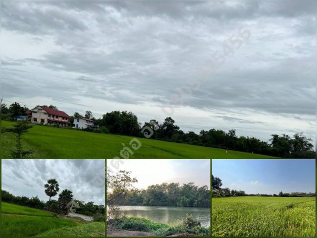 ขายที่นาริมแม่น้ำบางปะกง