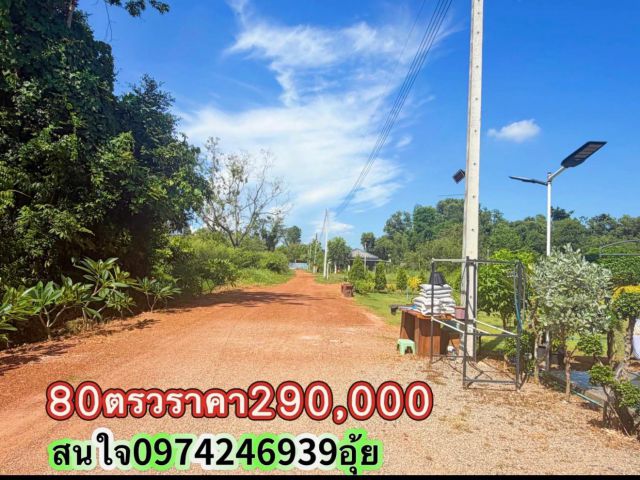 ขายที่ดิน80ตรวราคา290,000บาทใกล้อำเอกกบินทร์บุรี ต กบินทร์ อ กบินทร์บุรี จ ปราจีนบุรี