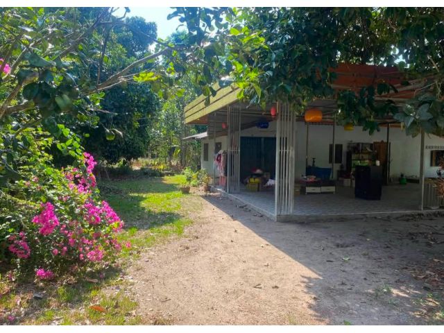 บ้านและสวนผลไม้ใกล้ชุมชนตลาดบ้านส้อง1กิโลเมตร