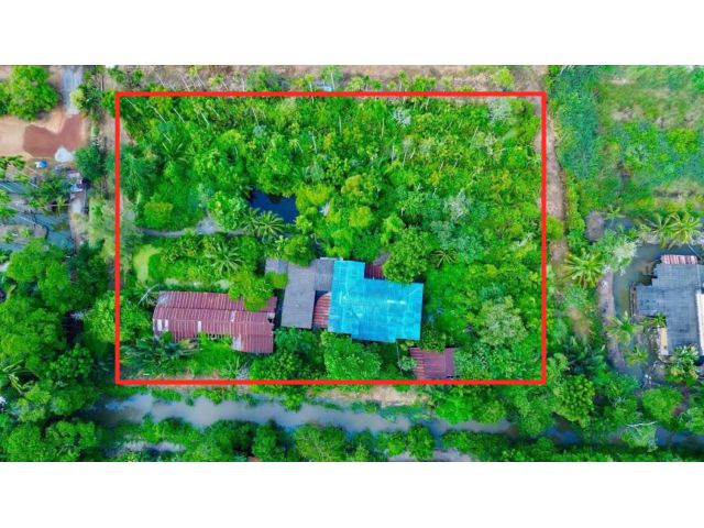 ขายที่ดินสวนหมากเก่า 3 ไร่ 9 ตร.ว. ทำเลดี บรรยากาศบ้านสวน ใกล้ตัวเมืองแปดริ้ว ใกล้วัดหลวงพ่อโสธร 4 กิโล