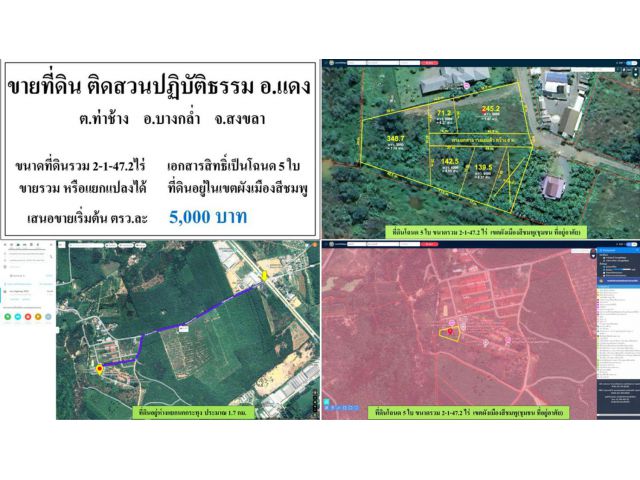 ขายที่ดิน 2-1-47.2ไร่ ติดศูนย์ปฏิบัติธรรมอาจารย์แดง โฉนด5ใบ แยกแปลงขายได้ ***เริ่มวาละ5พัน***