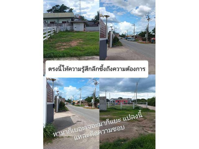 หามาก็เยอะเจอะมาก็แยะไม่ถูกใจ ตรงนี้เสนอเลยสนใจ ข้อมูลชัดโดนใจย่านธุรกิจชุมชนย่านค้าขายที่อาศัยตรงจุดที่สุดของความชัวร์
