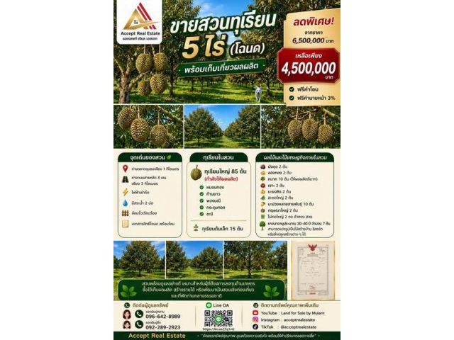 ขายสวนทุเรียน 5 ไร่ (โฉนด) พร้อมเก็บเกี่ยวผลผลิต บ้านค่าย ระยอง