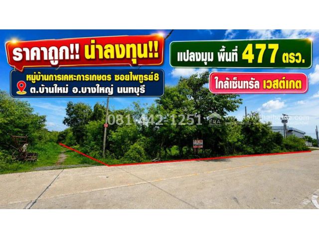 ขายที่ดิน ย่านบางใหญ่ นนทบุรี หมู่บ้านการเคหะการเกษตร ซอยไพฑูรย์8 แปลงมุม พื้นที่ 477 ตรว. ราคาถูกที่สุดในย่านนั้นแล้ว