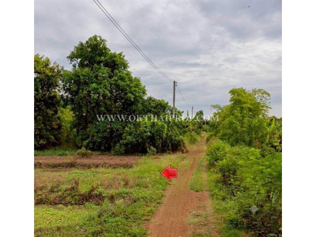 ที่ดินจัดสรร 5 แปลง แบ่งขาย ใกล้สำนักงานสาธารณสุขจังหวัดลำพูน อ.เมืองลำพูน จ.ลำพูน