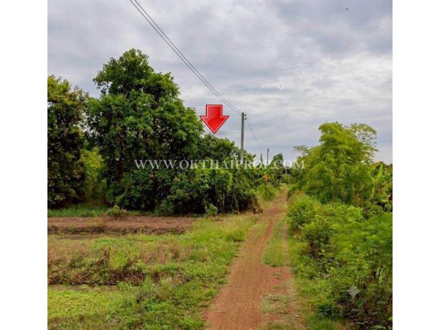 ที่ดินจัดสรรแปลงสวย “แปลงมุมติดถนน 2 ด้าน” ใกล้สำนักงานสาธารณสุขจังหวัดลำพูน อ.เมืองลำพูน