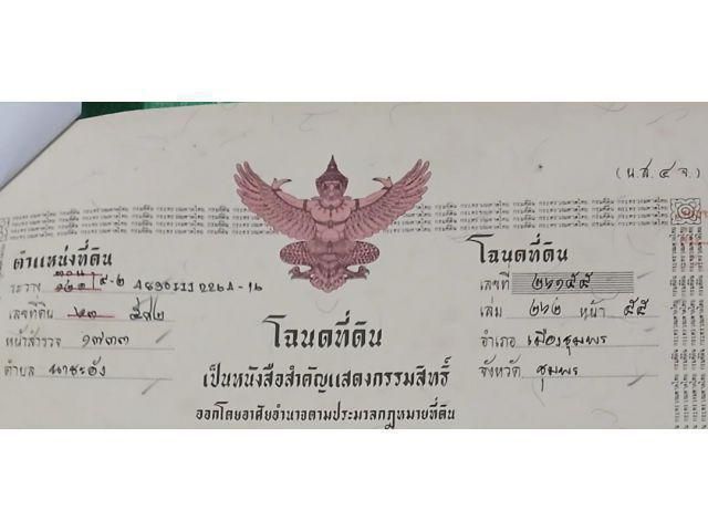 ขายที่ดินเปล่าบนเนิน โฉนด 1 งาน 15.9 ตร.ว. อยู่ในเขตเทศบาล ต.นาชะอัง อ.เมืองชุมพร ห่างศาลากลางจังหวัดเพียง 3 กม. ตั้งอยู่บนเนินปลอดภัยจากน้ำท่วม