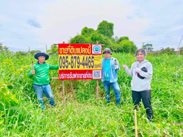 ขายที่ดินกรุงเทพหนองจอกราคาถูก