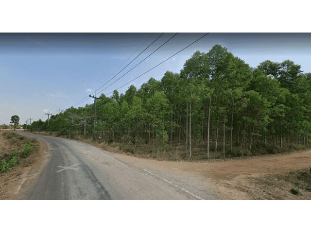 L563 ขายที่ดิน 11 ไร่ เมืองสระแก้ว