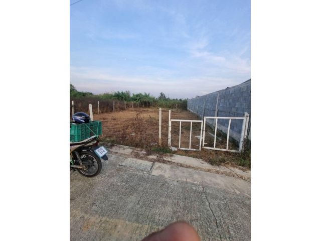 ขายที่ดินจัดสรร 75.5 ตรว. เจ้าของขายถูก