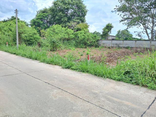 L1574 ขายที่ดิน 354 ตรว บ้านบึง ชลบุรี