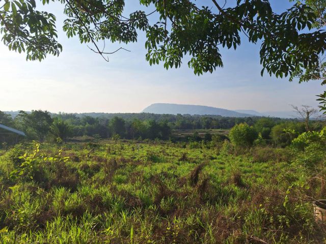 ที่สวยวิวเขา 2 ไร่ ภูเรือ 600,000 ติดถนนคอนกรีต ใกล้ทางหลวง ไฟฟฟ้าถึงเหมาะกับบ้านสวน