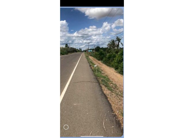 ขายที่ดิน ราคาดี 20 ไร่ 354 ตรว ต.วังหมัน อ.วัดสิงห์ ชัยนาท ติดถนน ที่สวย