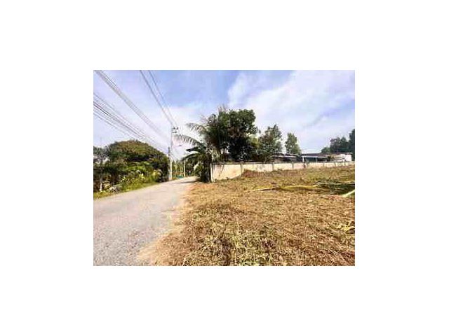 ขายที่ดิน ห้วยใหญ่ – ชากแง้ว ทำเลดี เหมาะสร้างบ้านหรือพูลวิลล่า #L106