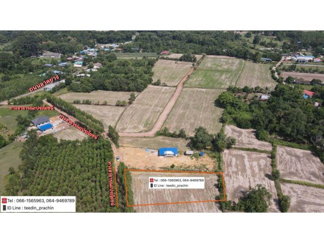 ขายที่สร้างบ้านสวน บ้านพักอาศัย เนื้อที่ 1 ไร่ เขตนิคม ยกแปลงเพียง 550,000 บาทเท่านั้น