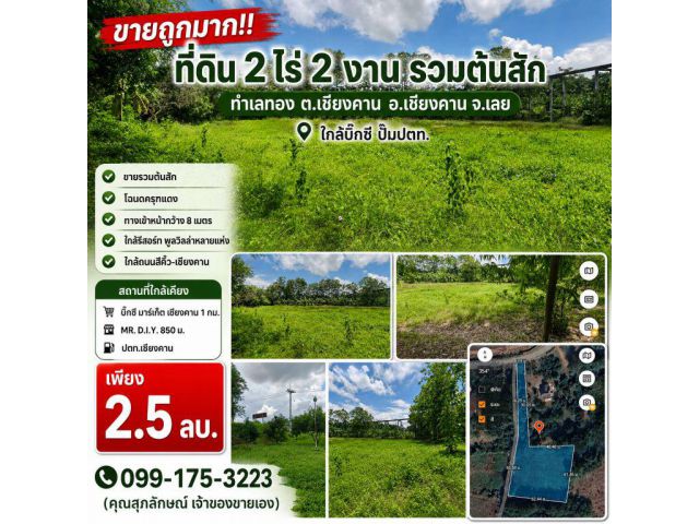ขายถูกมาก!! ที่ดิน 2 ไร่ 2 งาน รวมต้นสัก ทำเลทอง ต.เชียงคาน อ.เชียงคาน จ.เลย ใกล้บิ๊กซี ปั๊มปตท.