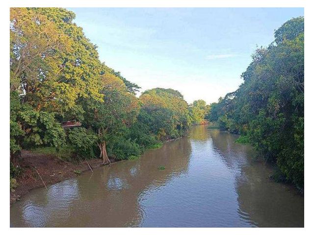 L898 ขายที่นา 12ไร่เศษ บางปะหัน อยุธยา ใกล้วัดตาลเอน ติดคลองบางพระครู