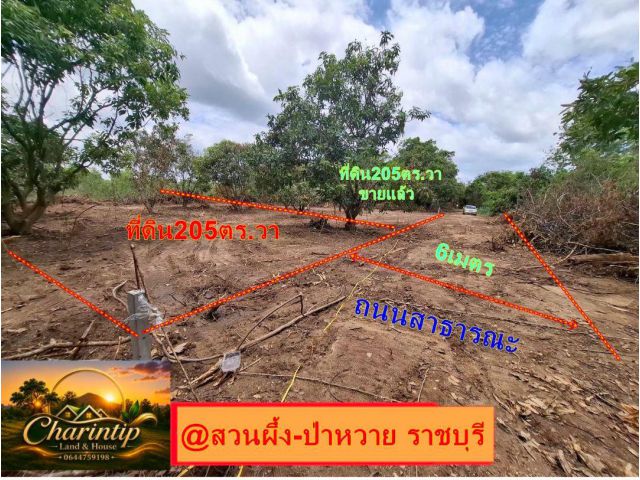 ที่ดินสวนผึ้งสวยๆ ราคาถูก 200 ตารางวาเพียง 290,000 บาท ที่ดินเหมาะอยู่อาศัย ใกล้ตลาดใกล้โรงพยาบาลเพียง 2 กม.