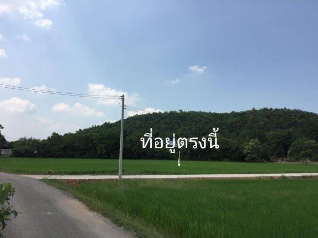 ขายที่ดิน 7 ไร่ ใกล้เขาวัดหนองหอย สนามกอลฟ์รอยัล ต.ธรรมเสน อ.โพธาราม จ.ราชบุรี