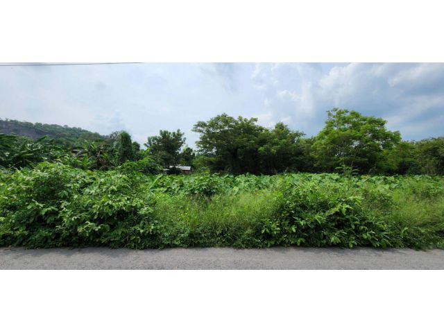 L590 ขายที่ดิน 13 ไร่ เมืองสระบุรี