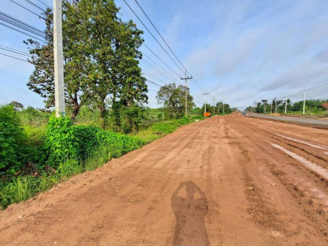 L591 ขายที่ดิน 34 ไร่ ติดถนนอรุณประเสริฐ์.202 เมืองอำนาจเจริญ