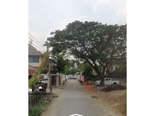 ขายที่ดิน ลาดพร้าว 71 ซ.นาคนิวาส 37 ขนาด 99 ตารางวา เหมาะสร้างบ้านพักอาศัย ออฟฟิศ